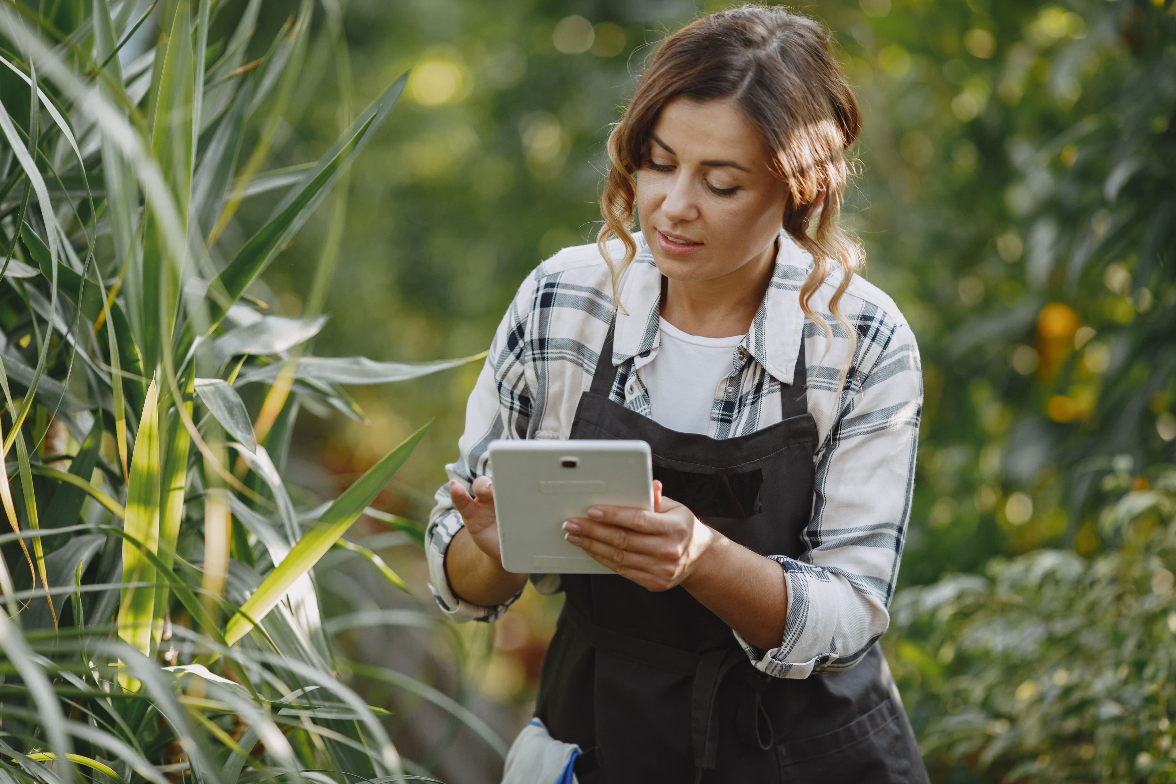 Plataforma de BI para trade agrícola